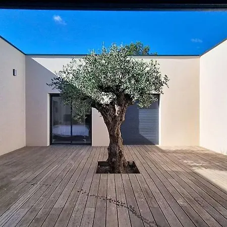 Somptueuse Villa Nîmes